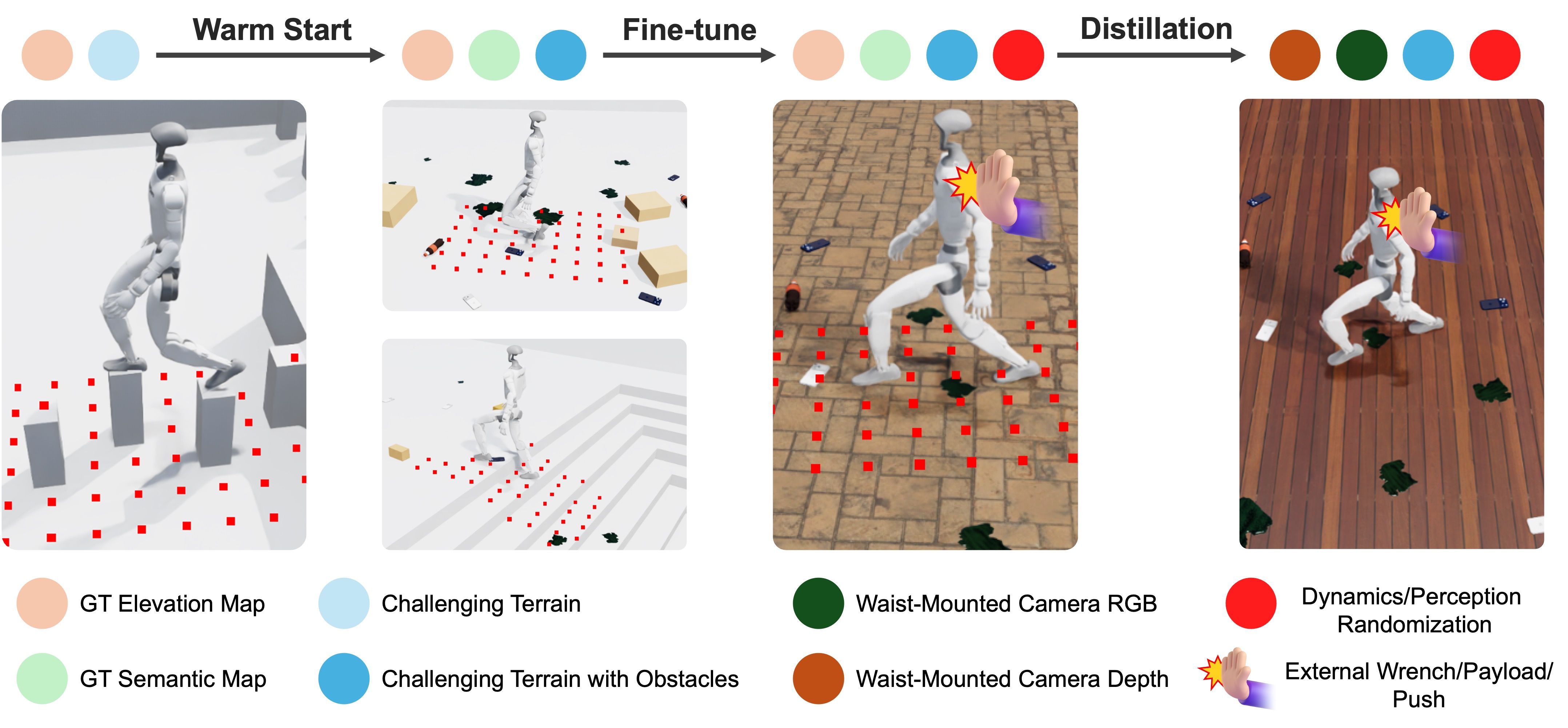 Training curriculum: warm start on challenging terrain, fine-tune with hazards and randomisation, distillation to a waist-camera student